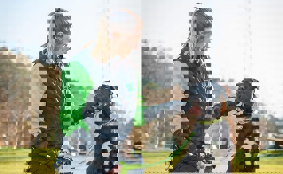 Birmingham Dogs Home