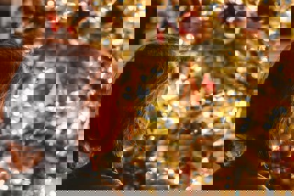 Greg Rosenke 48 Hcexn5i Unsplash (1)