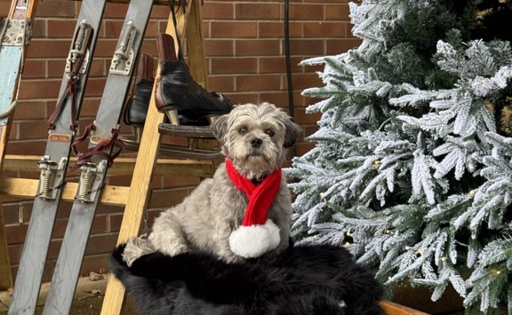 Thumbnail IMG 8646Crop