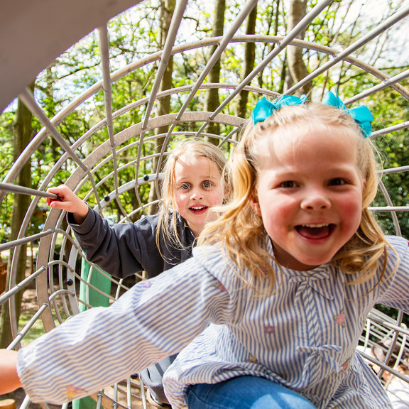 Capco X Belfry Web Size 133