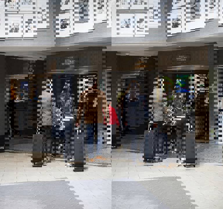 Family Arrival Compressed (1)