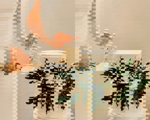 2Am Creatives Wk9ic7 Kely Unsplash