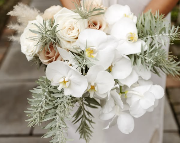 Screenshot 2026 02 12 074351