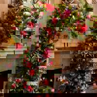 Belfry Dec 24 Amy Murrell 10