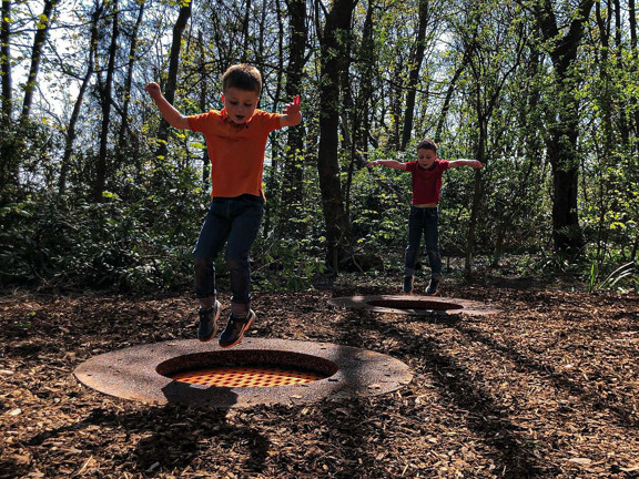 492529572 1115235297306546 144216935425195244 N (1)