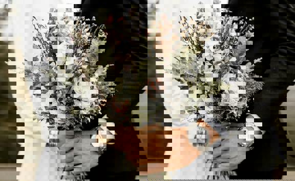 Pexels Trungnguyenphotog 2959192